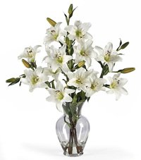 White Lily Stems in Artificial Water